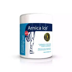 ARNICA ICE GEL 475ML - Image 1
